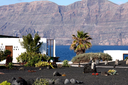 Casa Dominique: Gardens