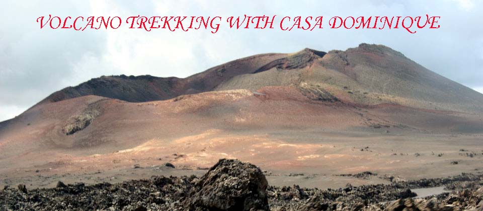 Casa Dominique and Casa Léa