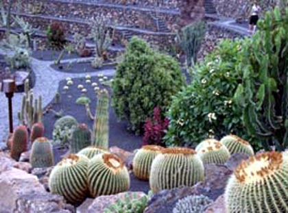 Lanzarote: Jardín de Cactus: Détails
