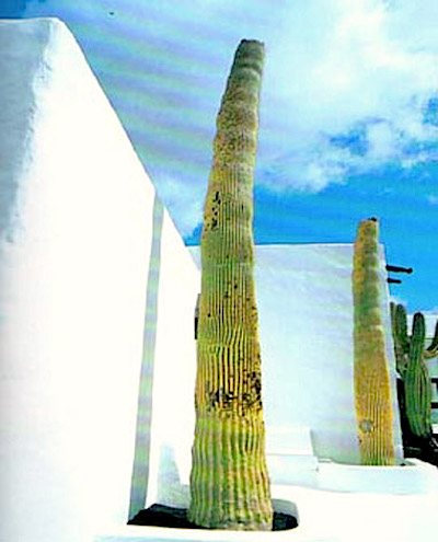 Lanzarote: Los Jameos del Agua:bar
